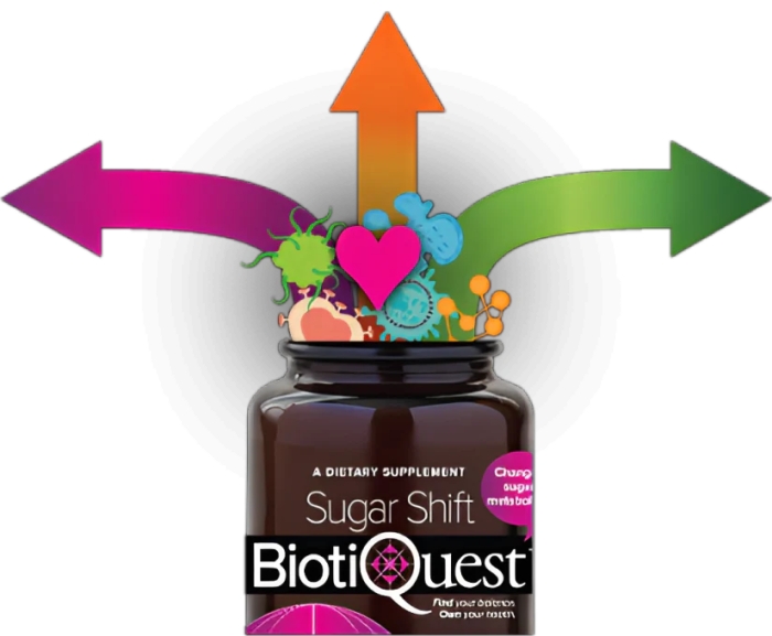 Is BiotiQuest Worth The Money?